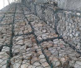 生態石籠網 生態石籠網