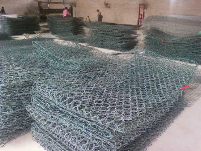 雷諾護墊 雷諾護墊